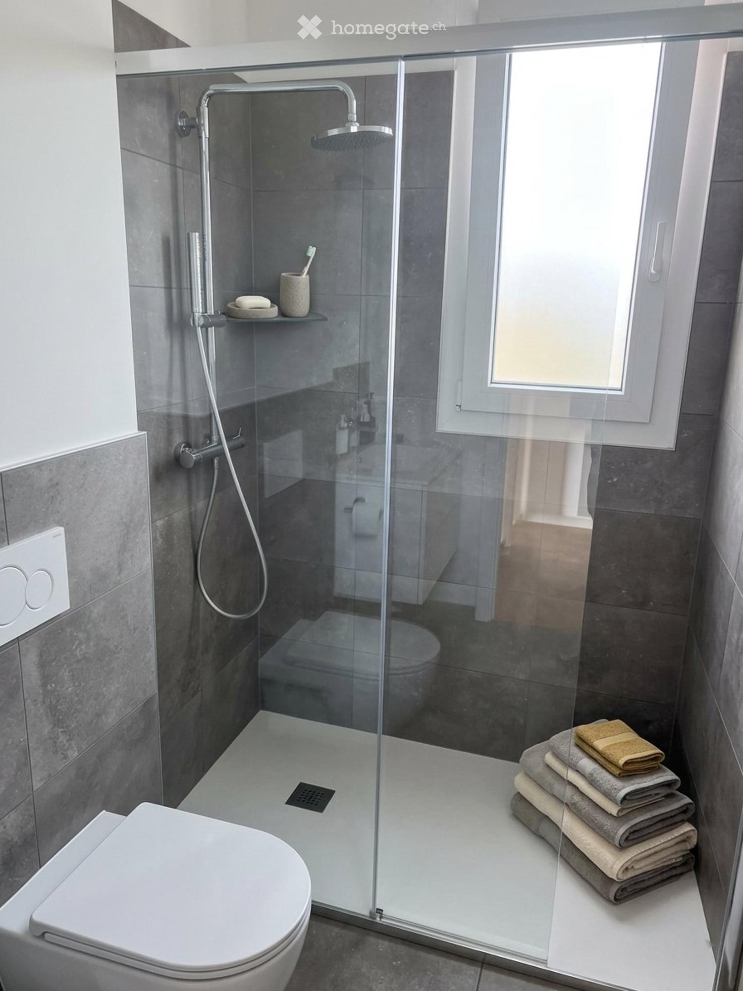 Subentro Attico 3.5 con Terrazza 24mq Bellinzona Centrale