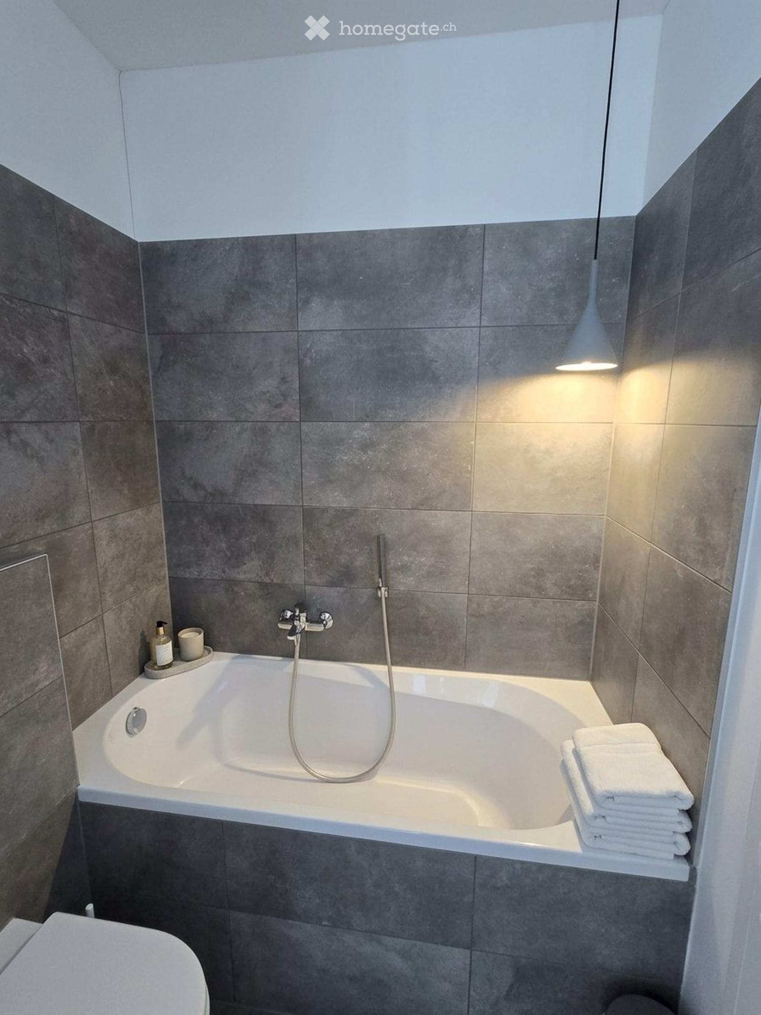 Subentro Attico 3.5 con Terrazza 24mq Bellinzona Centrale