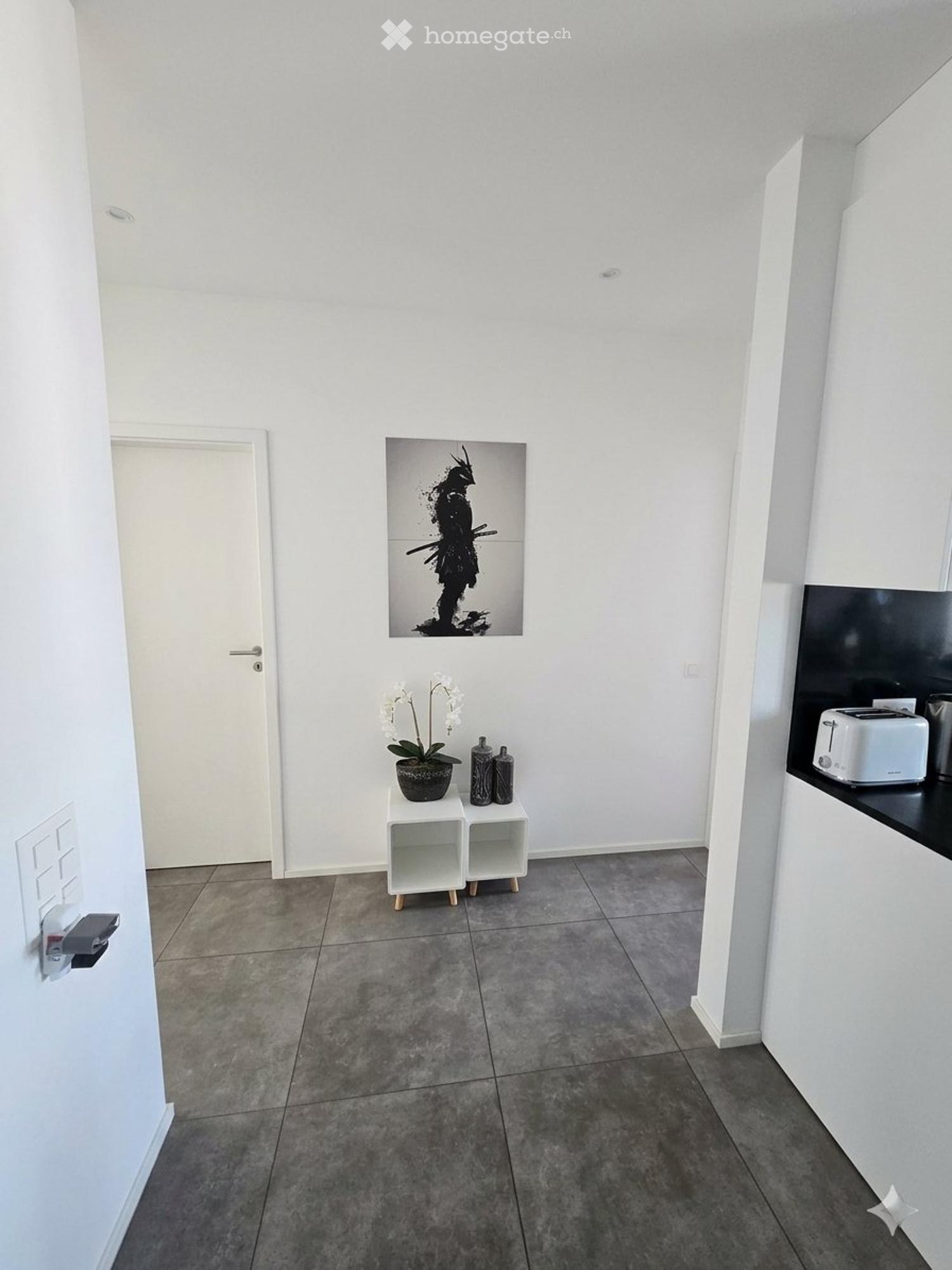 Subentro Attico 3.5 con Terrazza 24mq Bellinzona Centrale