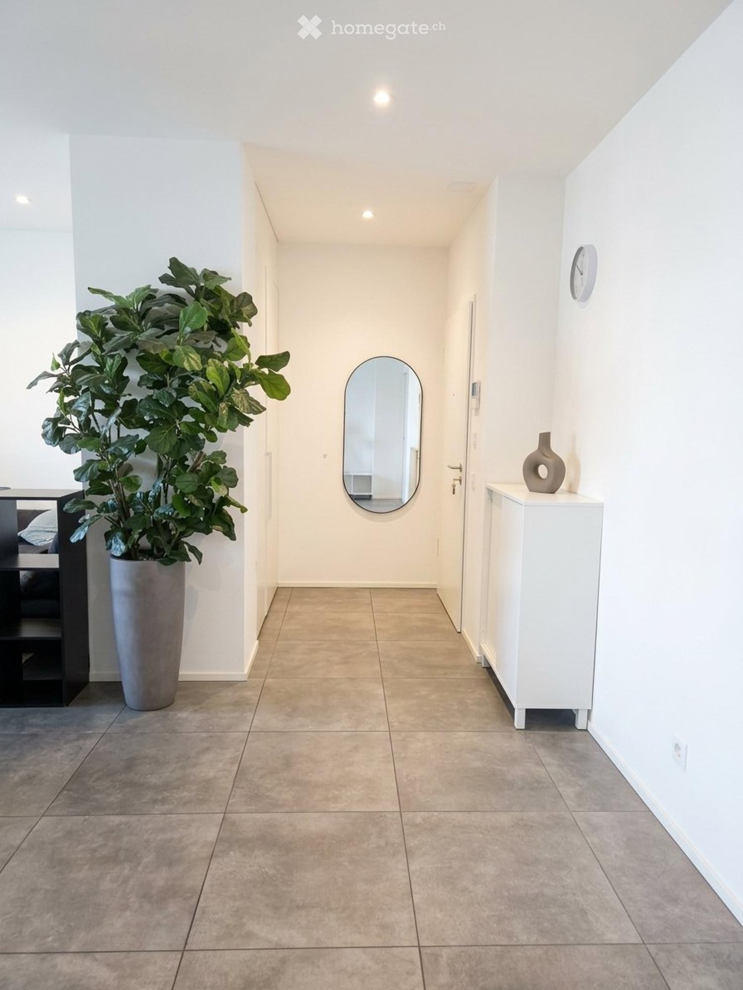 Subentro Attico 3.5 con Terrazza 24mq Bellinzona Centrale