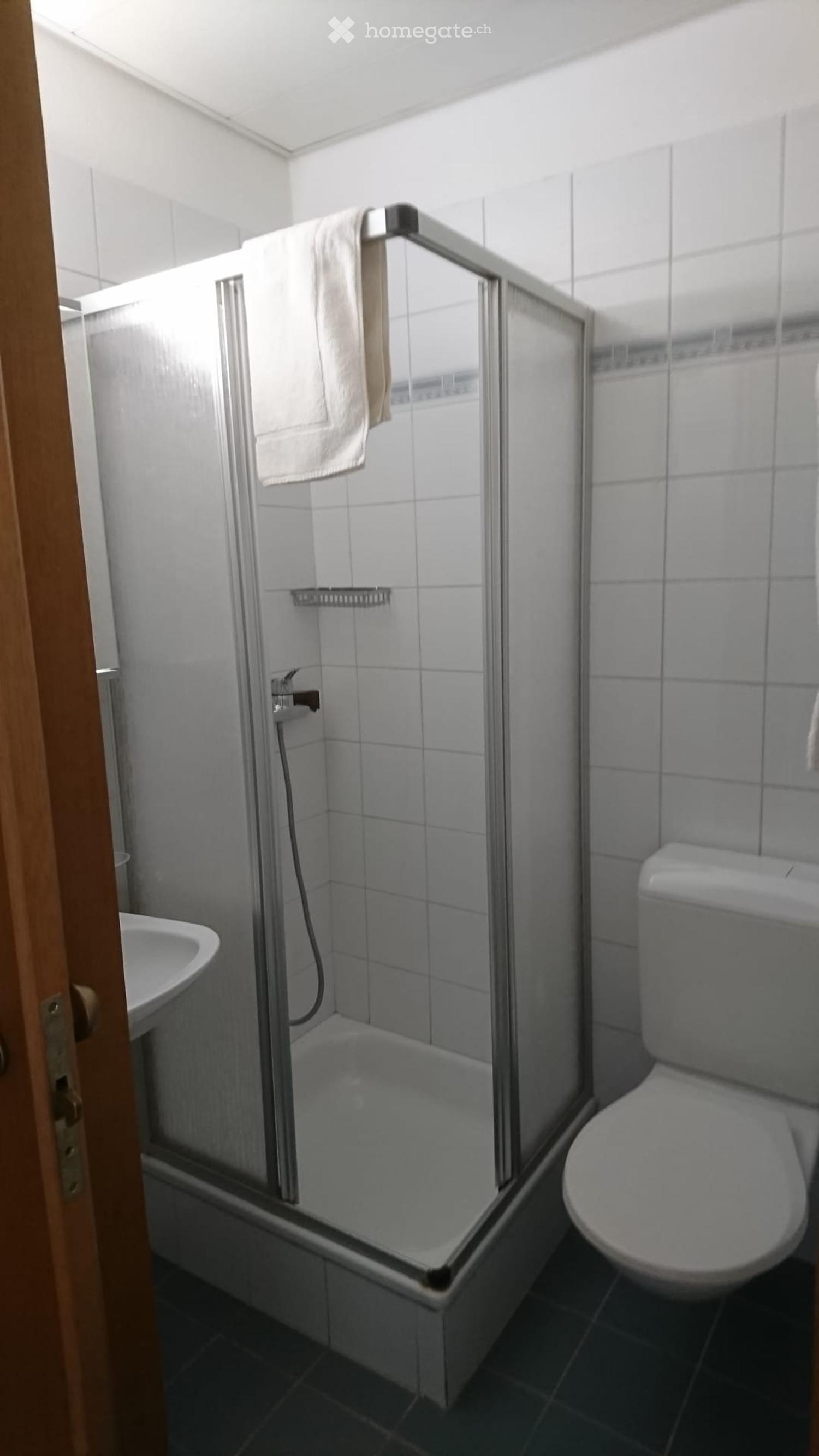 Appartamento ad occupazione singola a Brissago