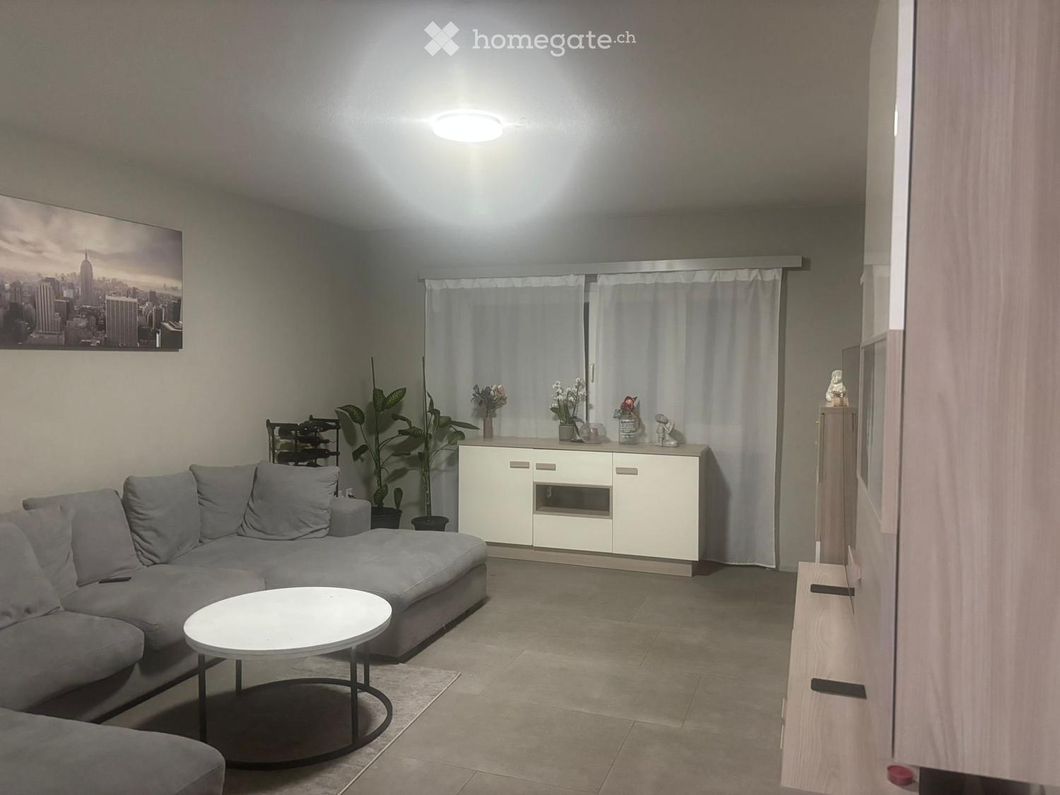 Subentro Urgente – Ampio 4.5 locali con Garage e Posteggio