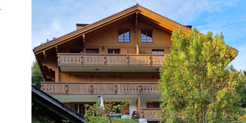 Superbe appartement à 2 pas de Gstaad (1)