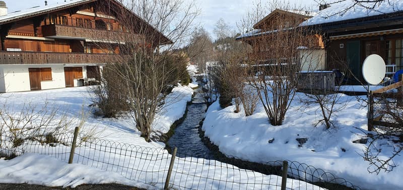 Angebot von COVENTI AG In unmittelbarer Nähe der Skigebiete der Destination Gstaad (13)
