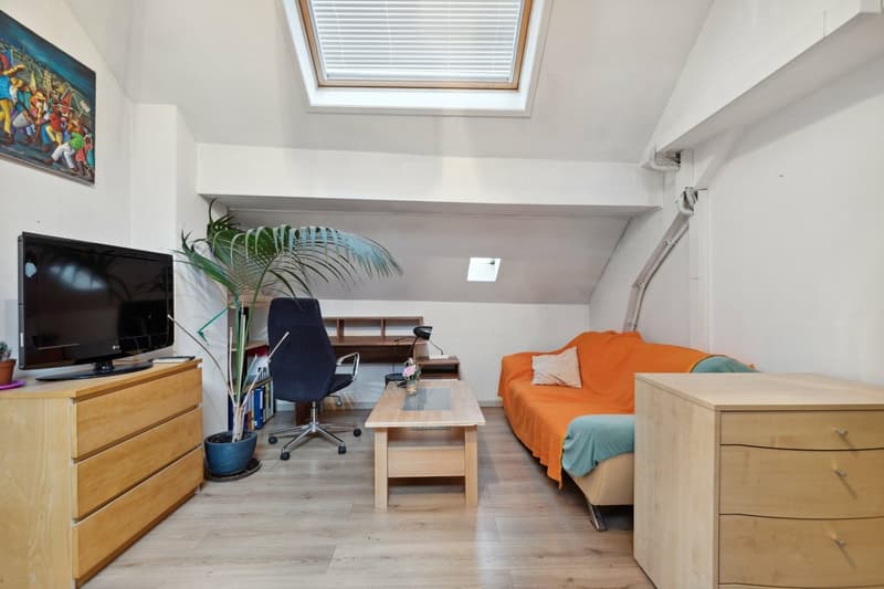 Combles aménagés : Espace chambre & séjour / Ausgebauter Dachboden : Schlaf- & Wohnbereich / Attic space : Bedroom & living area