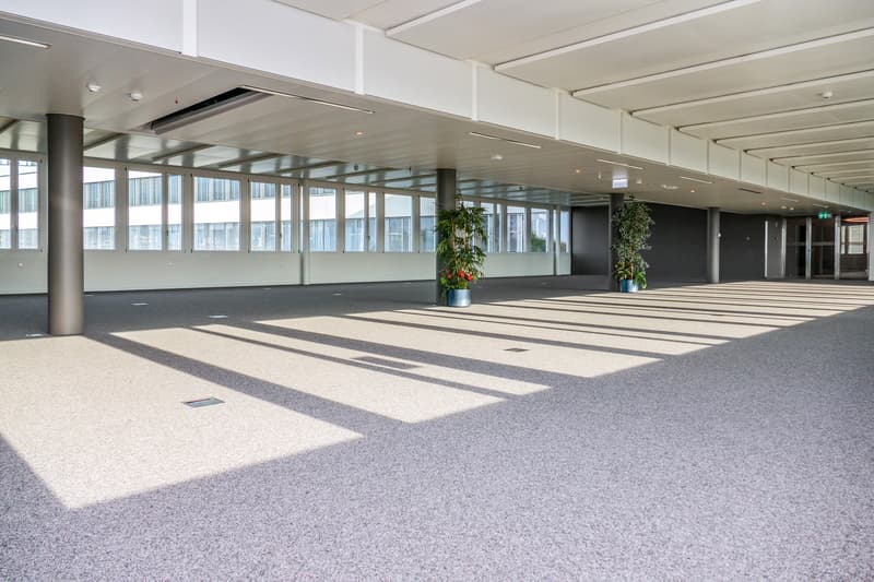 427 m2 - Magnifiques surfaces de bureaux à coté de Biopôle (2)