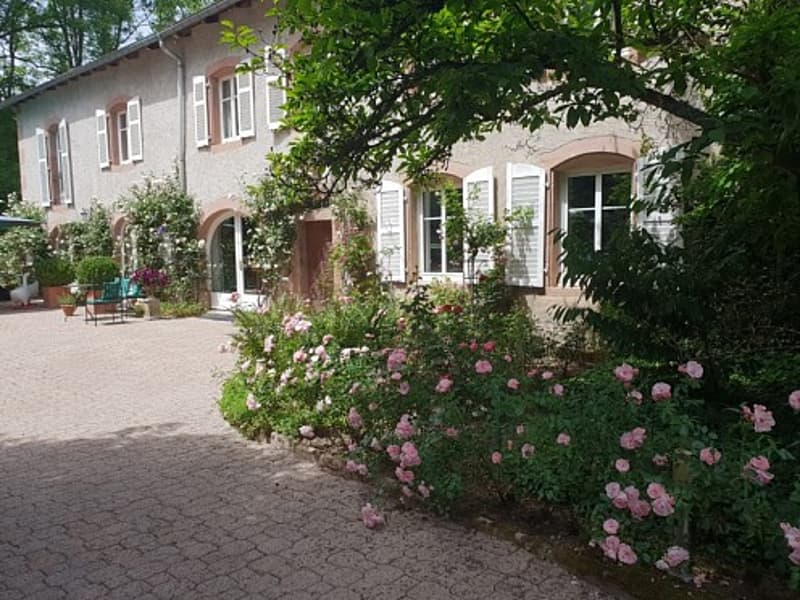 Réf: 9079 *** Proche Alsace, Sect. St-Dié-des-Vosges: Maison de Caractère env. 540 m² avec son parc (1)
