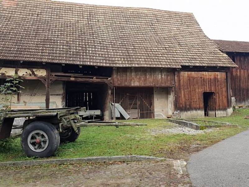 Réf:10044*** Sect. Leymen/Liebenswiller: Maison de village/corps de ferme à rénover + grange (1)