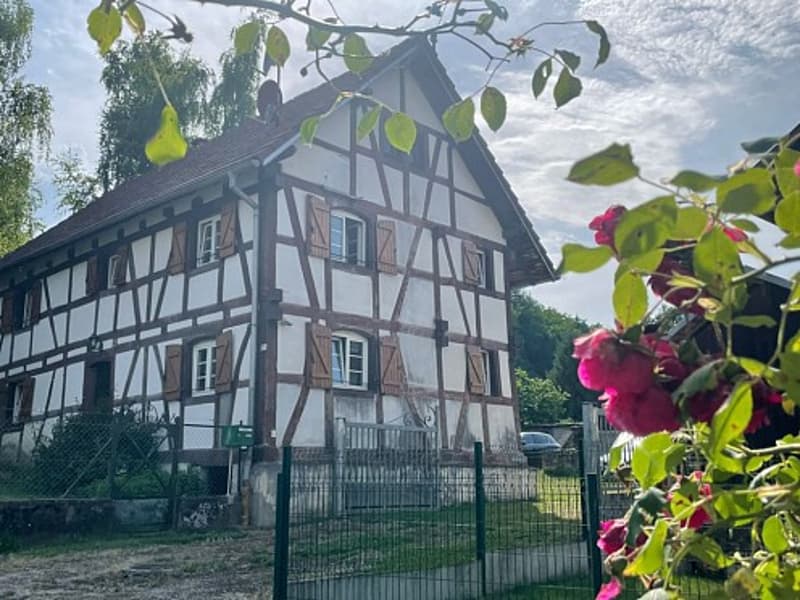 Réf: 10008*** Axe Bâle - Sundgau: Belle maison alsacienne rénovée env. 140 m² (1)