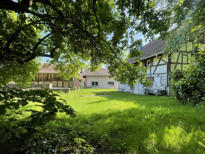 Réf: 10008*** Axe Bâle - Sundgau: Belle maison alsacienne rénovée env. 140 m² (13)