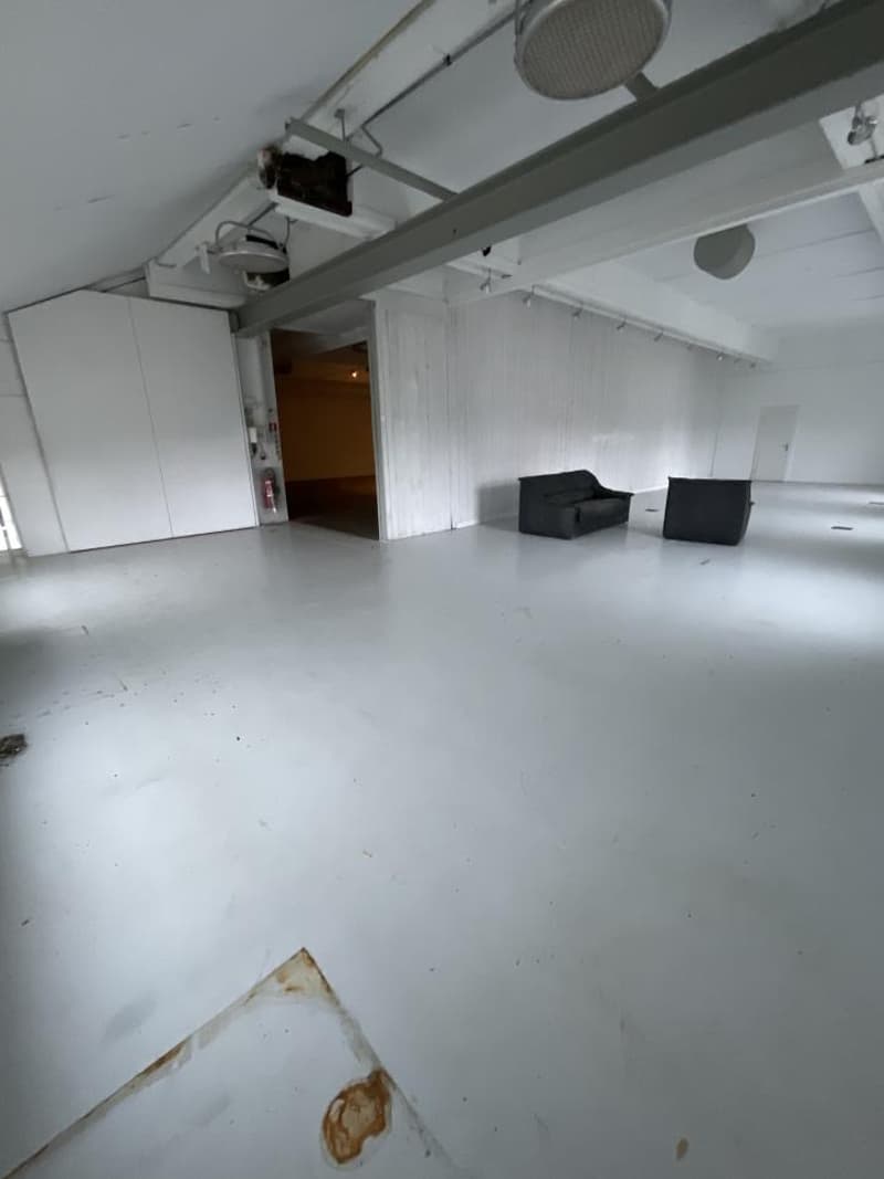 Surface artisanale / galerie d'art / dépôt / atelier / divers de 420 m2 avec hauts plafonds à Ballens (2)