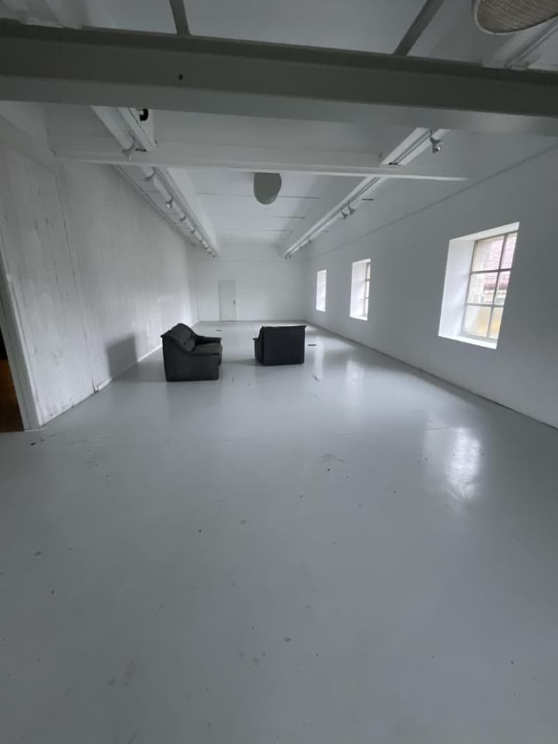 Surface artisanale / galerie d'art / dépôt / atelier / divers de 420 m2 avec hauts plafonds à Ballens (1)