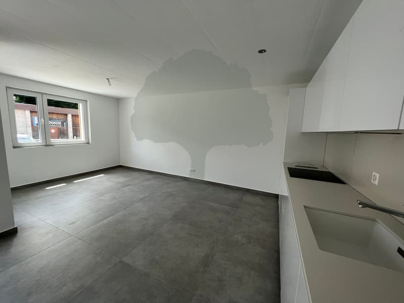 Appartement neuf de 3,5p avec balcon à Courgenay (1)