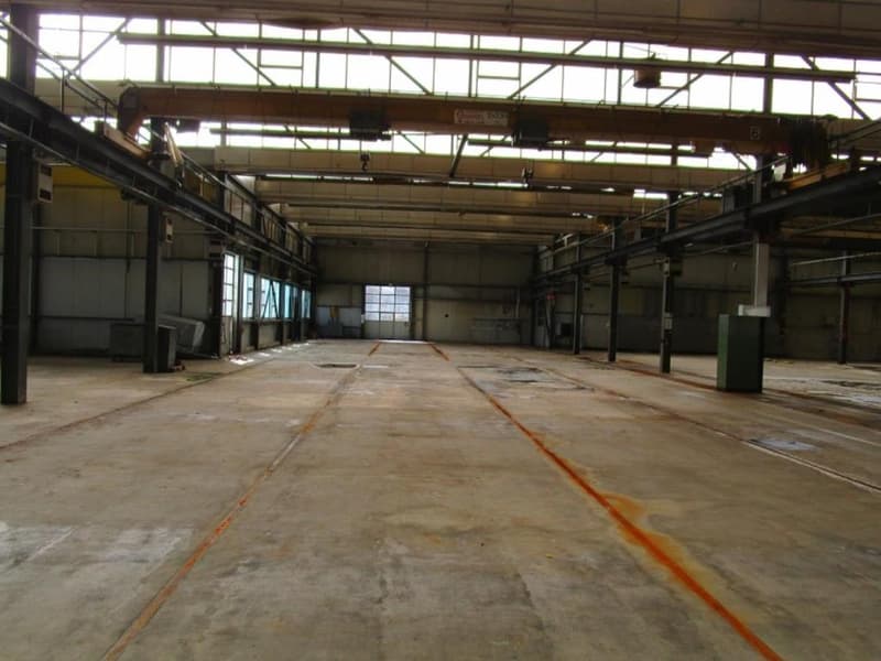 Halle industrielle avec bureaux administratifs et terrain constructible (4)
