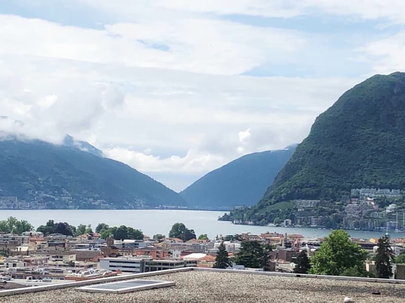 Appartamento di 4.5 locali con spettacolare vista sul golfo di Lugano - zona centrale (1)