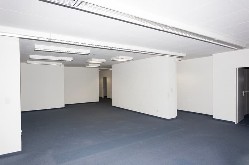 Ausgebaute, helle Büroräume ca. 272 m2 (2)