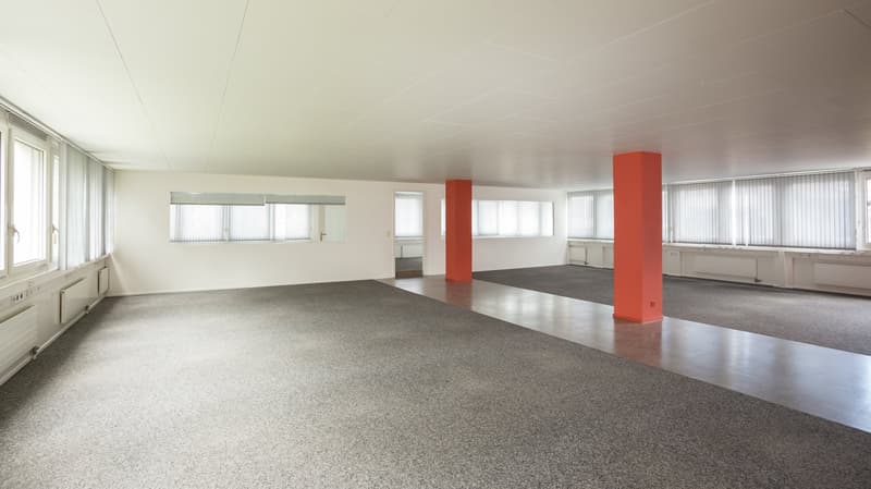 Exklusive Räume für Büro oder Praxis ca. 196 m2 (1)