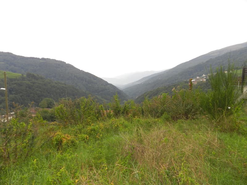 Bogno Val Colla 3 terreni edificabili (2)