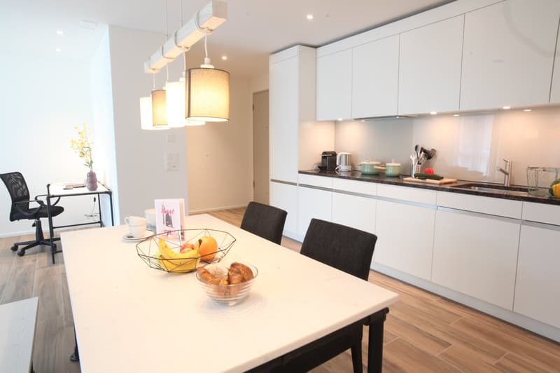 LAURIED 7 - Brand NEW Furnished 2.5 Room Apartments AVAILABLE (2)