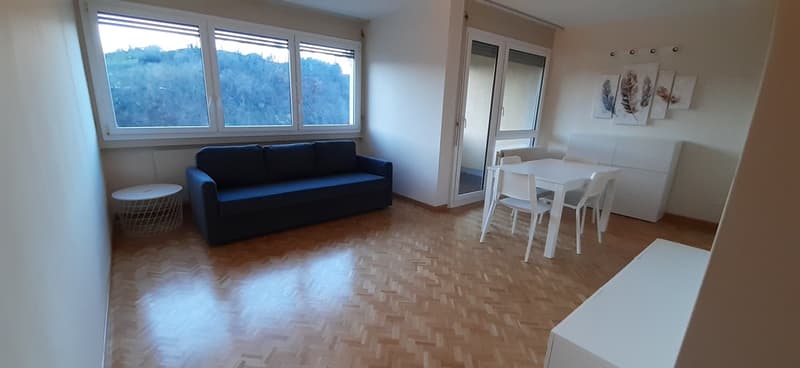 Appartamento 2.5 locali ristrutturato a Lugano - Pazzallo (1)