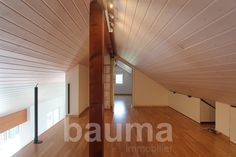 Duplex en attique (13)