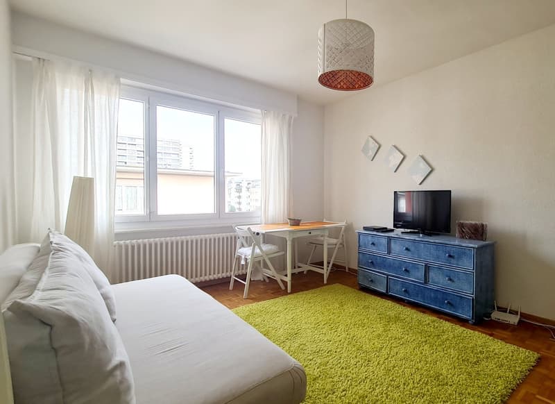 Widest choice and best prices for your furnished housing in Lausanne downtown. (2)