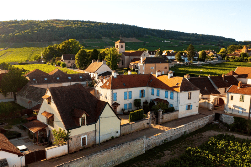 Historic private estate in the heart of Gevrey Chambertin, Burgundy (1)