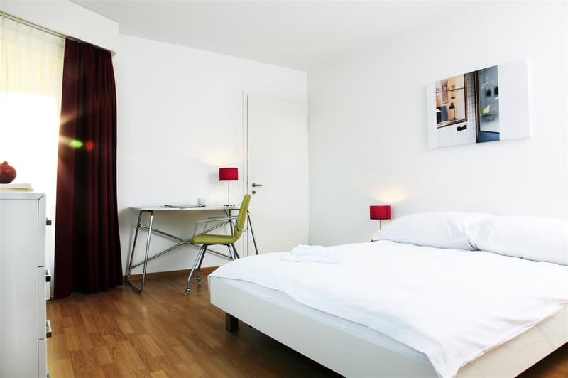 Furnished 2-bedroom Apartment near Hirslanden, Balgrist / Möbliertes 1-Zimmer Apartment (1)