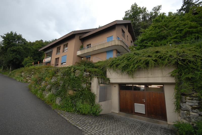 A vendre à Tüscherz-Alfermée appartement attique de 5.5 pièces avec vue sur le lac de Bienne (1)