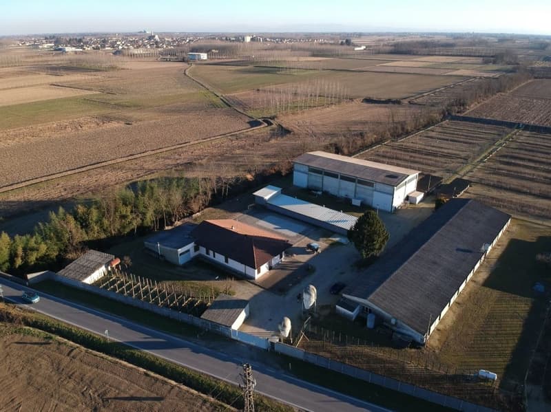 Domaine agricole, élevage. 31000 m2 (1)