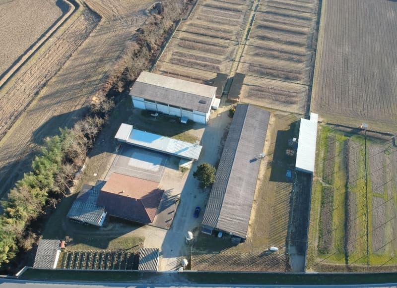 Domaine agricole, élevage. 31000 m2 (2)