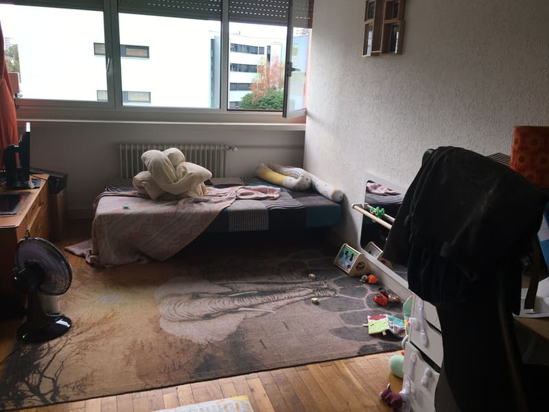 Appartement Carouge 4 pièces, Route de Veyrier homegate.ch