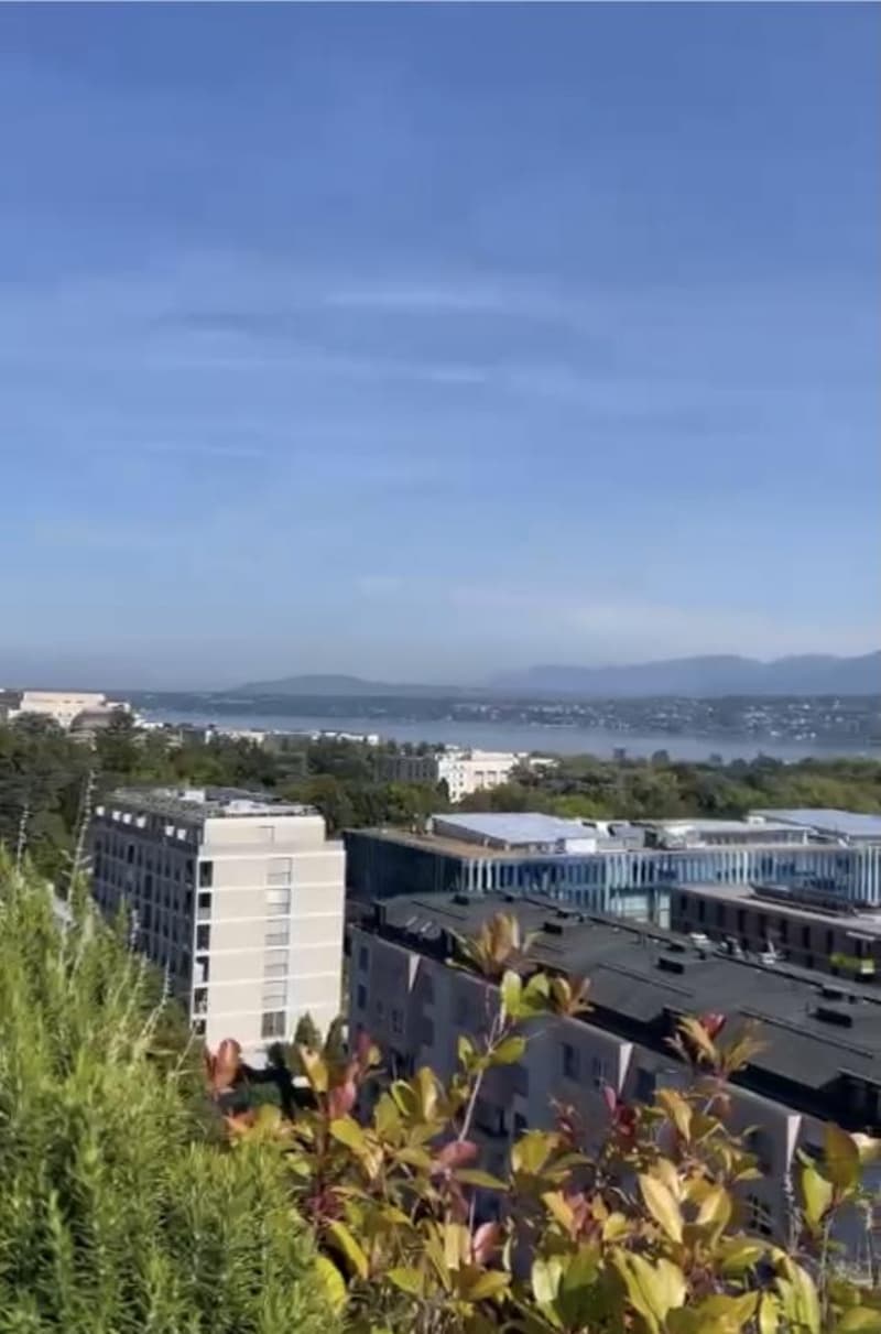 Appartement Penthouse Luxueux avec vue lac à Genève (8)
