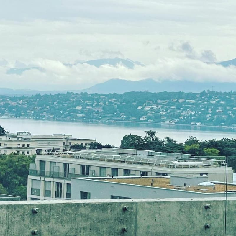 Appartement Penthouse Luxueux avec vue lac à Genève (1)