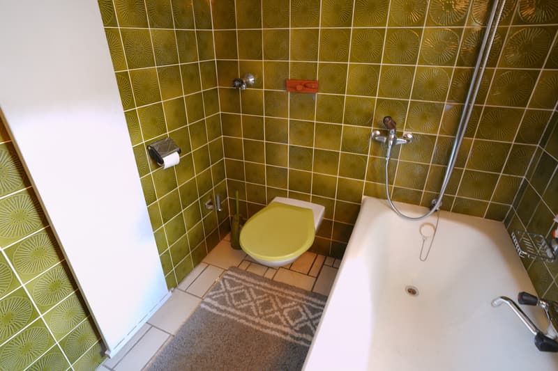 Appartement 4.5 pièces - salle d'eau avec baignoire, WC et lavabo