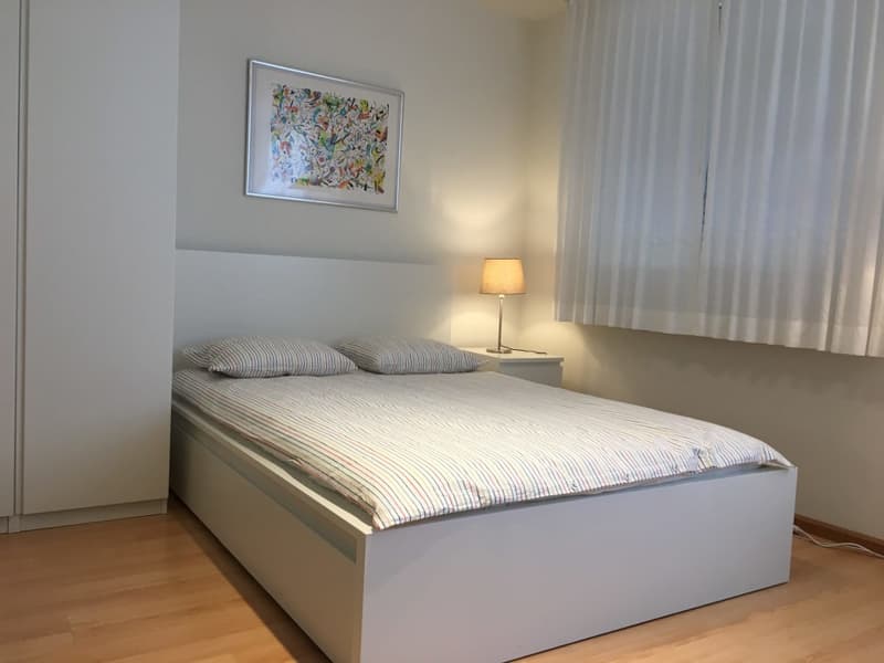 Möblierte 2-Zimmer-Wohnung in Basel-Stadt (2)