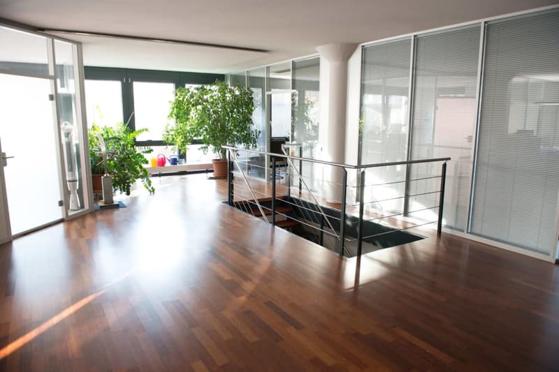 800 m2 moderne Bürofläche / Arztpraxis / Physiotherapie (1)