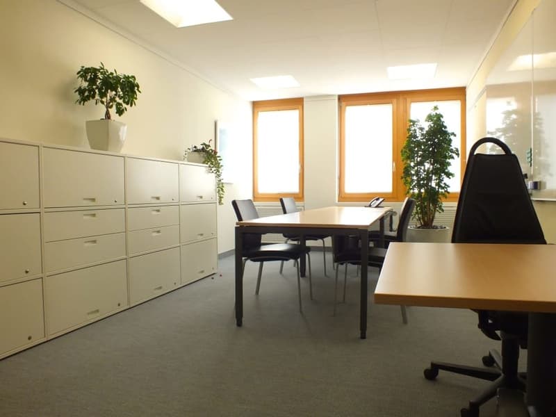 Büro: Sharing Office und Sitzungszimmer mieten (5)