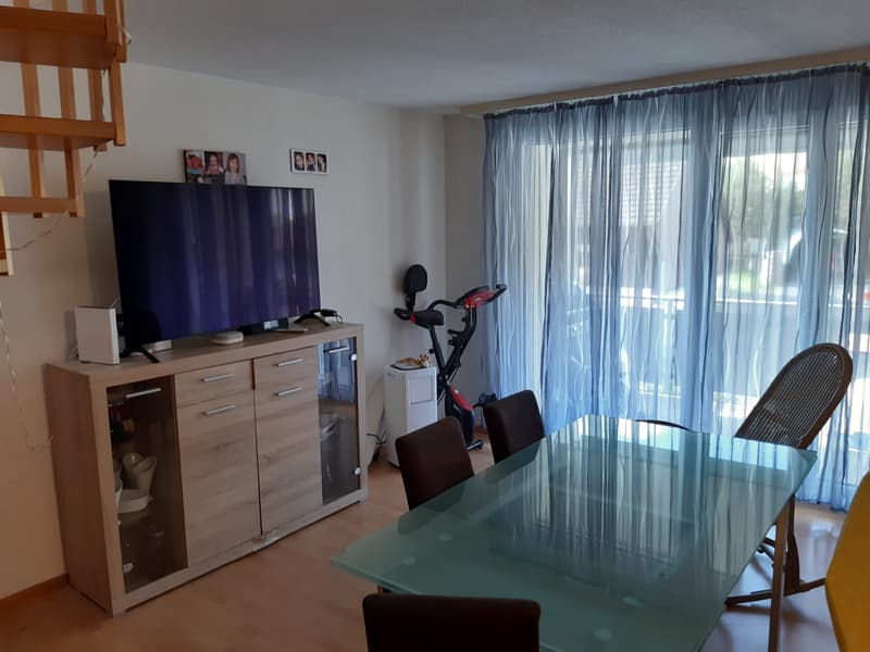 Wunderschöne 6,5-Zimmer-Maisonette-Wohnung in Rickenbach LU (1)