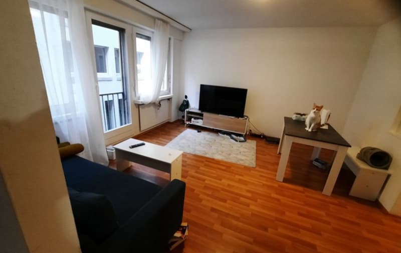 Apartment in Zurich (4)