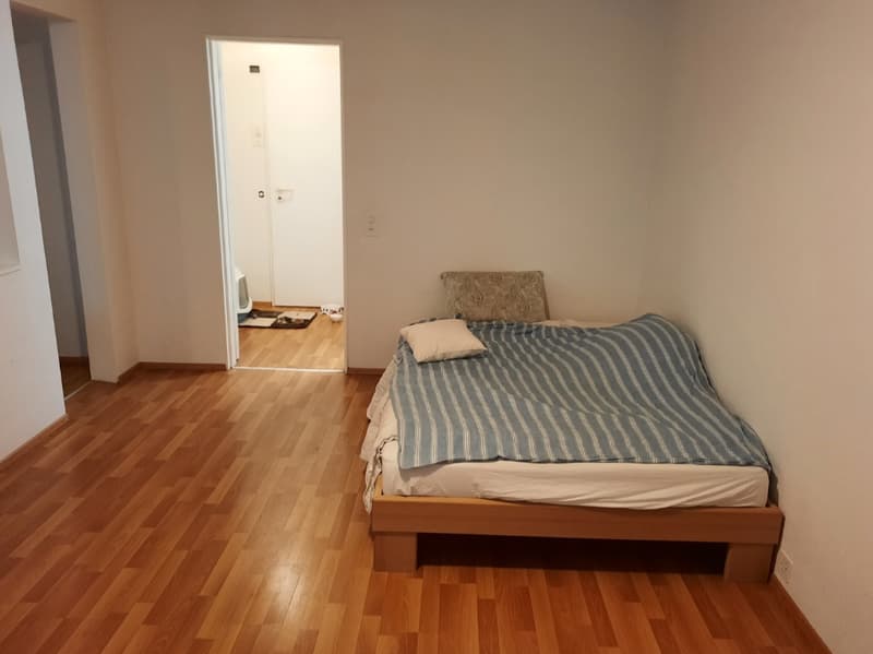 Apartment in Zurich (1)