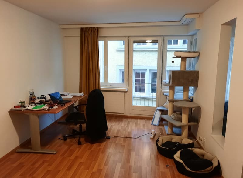 Apartment in Zurich (2)