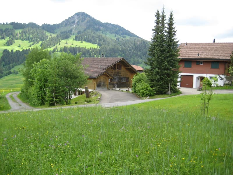 Bauland in Oberiberg mit wunderschöner Aussicht (2)