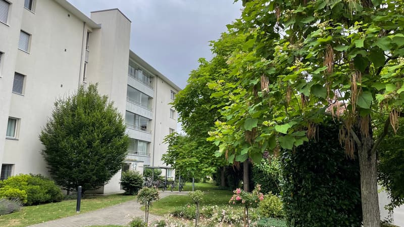 Wohnung in Muttenz 2.5 Zimmer 65 m2 (1)