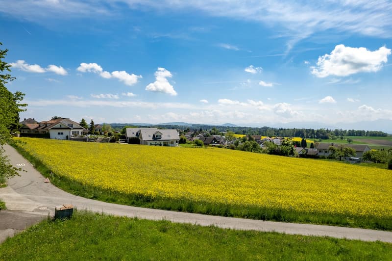 Grosse Baulandparzellen für freistehende Einfamilienhäuser an exklusiver Lage in Oberwil-Lieli/AG (5)