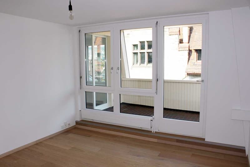 Large, bright apartment in Enge (2)