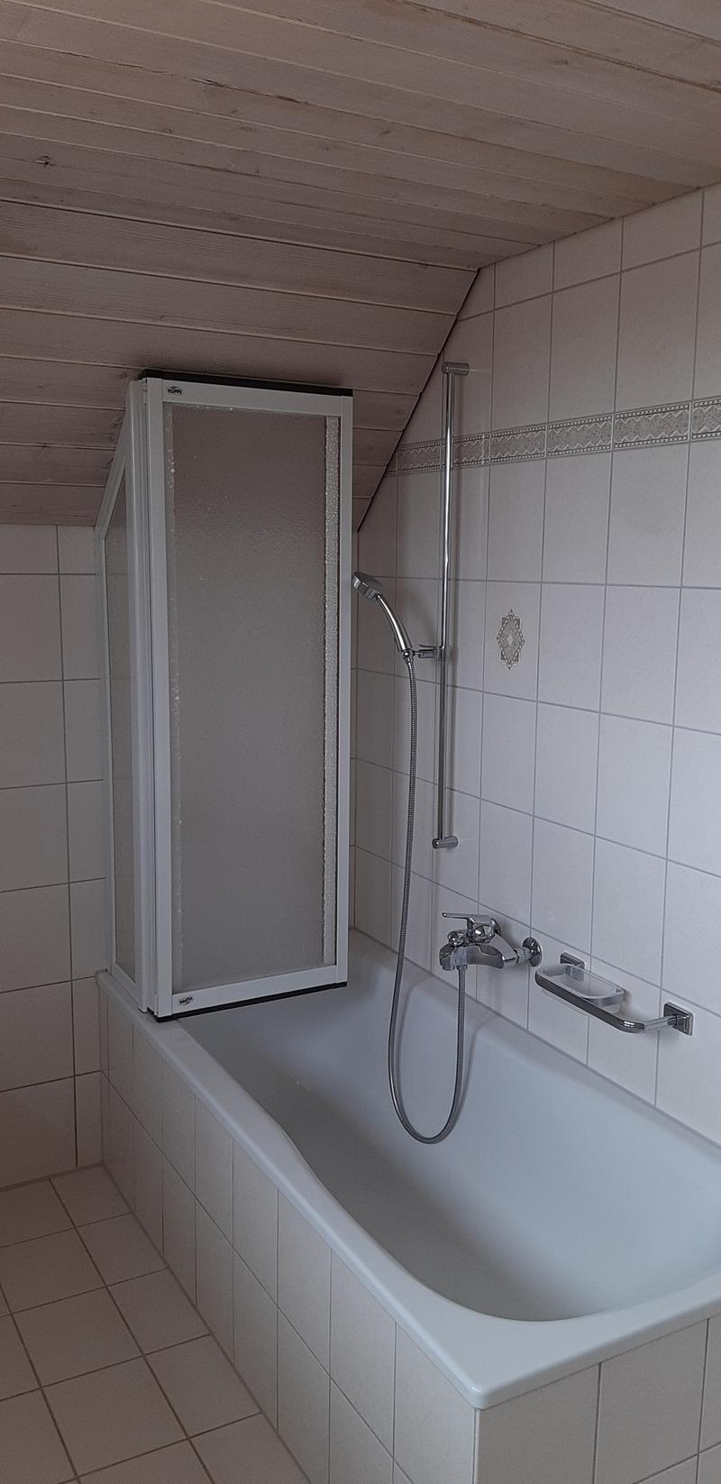 3 1/2 Zimmer Maisonette Wohnung in Wangen b. Olten (unmöbliert) (2)
