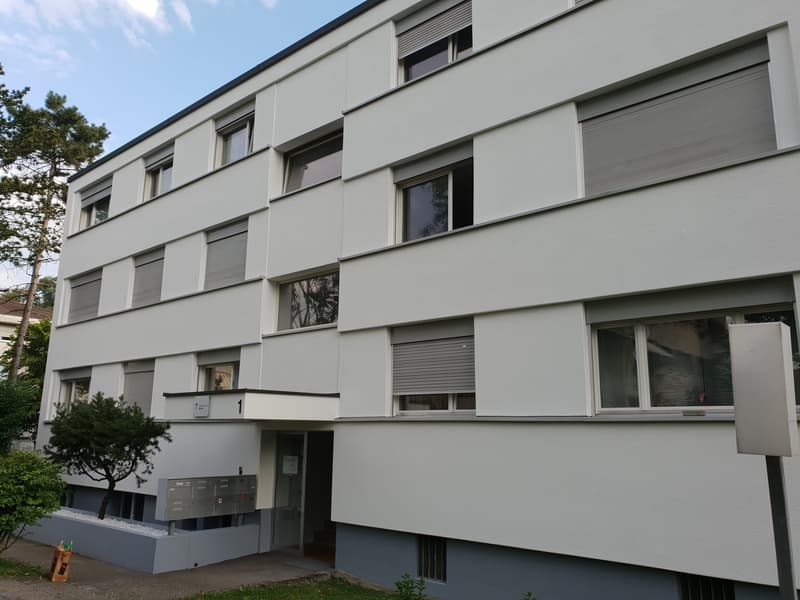 Mehrfamilienhaus in Muttenz (2)