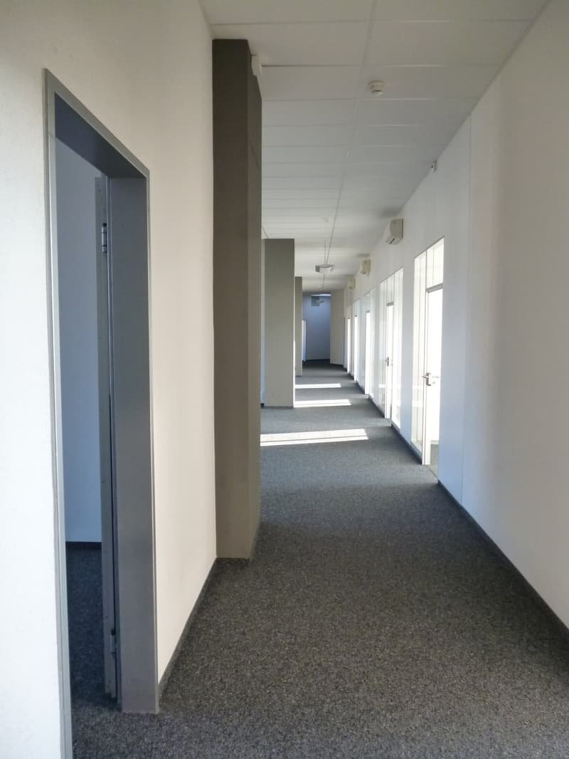 Bürofläche im Zentrum von Rapperswil (2)
