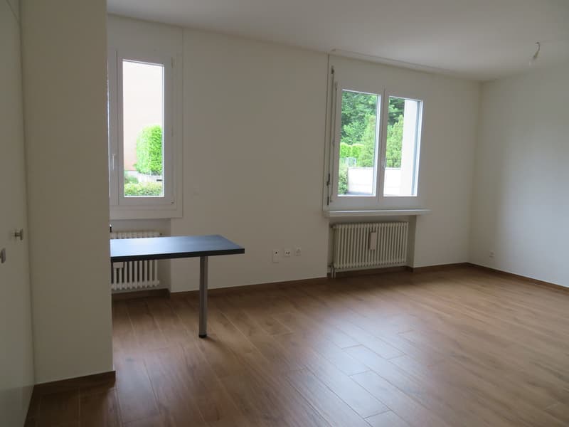 Appartamento In Affitto A Sorengo Homegate ch